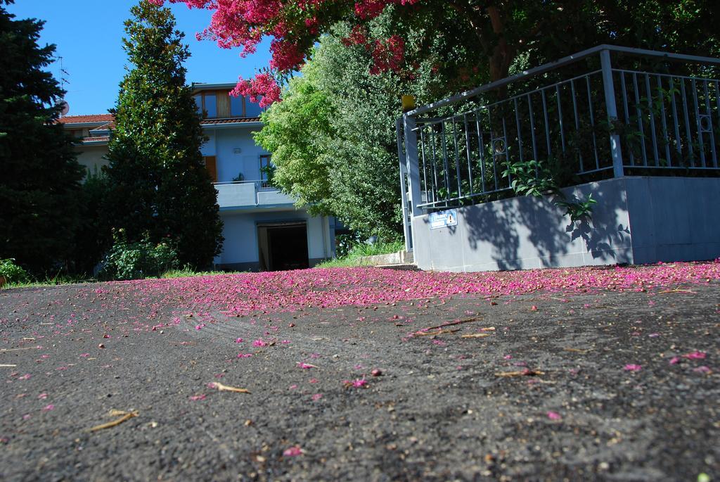 Bianco Nuvola Bed & Breakfast Montecchio  Стая снимка